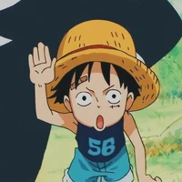 Monkey •D•Luffy
