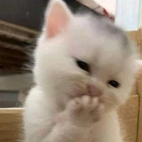 Tác giả bị thỉu năng👁👄👁💅