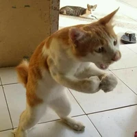 tác giả ắc wỷ 👾😈