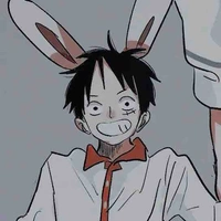 Monkey D luffy