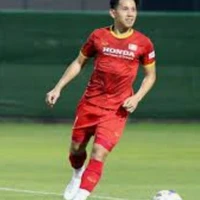 hồng duy
