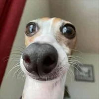Bẹn bà 2:)))