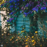 All