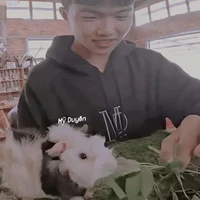 Phạm Đình Hòa