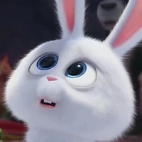 Jisoo Dạng Thỏ