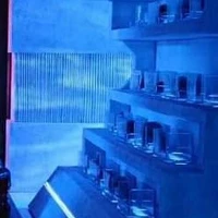 Nhân viên phục vụ