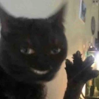 Fujioka Sayo - Author 