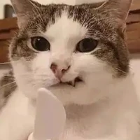 Quần chúng/BS/nhân biên/...