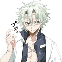 Shinazugawa Sanemi