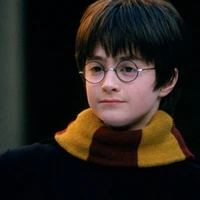 Harry Potter (nhỏ)