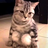 Ngọc nạnh nùng boy