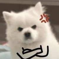 Shoyo của tớ cơ:<<