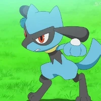 Riolu