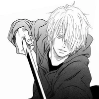 vinsmoke . sanji