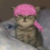 (San) Sanzu Haruchiyo_hệ thống 419