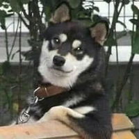 Nhân vật tổng hợp