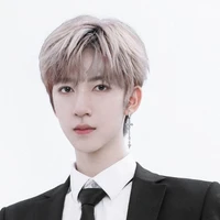 Hạ Tuấn Lâm
