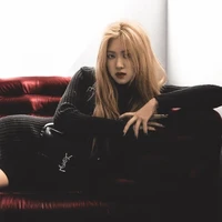 Park Chaeyoung(cô)