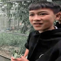 Lê Trung Thật