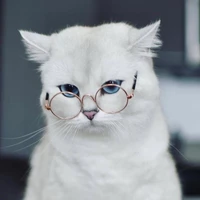 Tác giả
