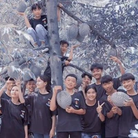 Cả team