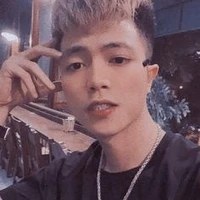 Việt hoài<vịt>