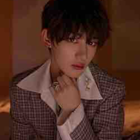 Đinh Trình Hâm 