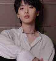 Nghiêm Hạo Tường 