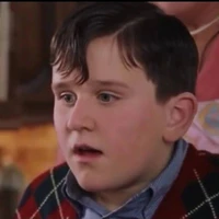 anh họ dudley dursley