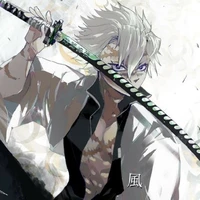 Shinazugawa Sanemi-Phong Trụ-