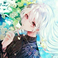 Shizaku Meko