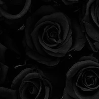 all(trừ Giai Hâm,Chỉ Thừa)