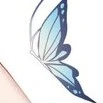 bướm trị thương __ Ami