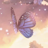 bướm thời tiết __Umi
