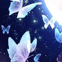 bướm tàng hình _____Shiren