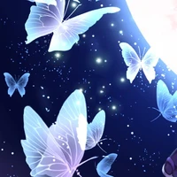 bướm tàng hình _____Shiren