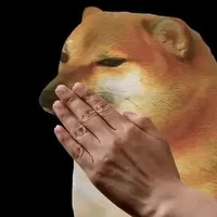 Con nào đọc tên t t xé loz