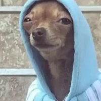 tác giả siu cute😜