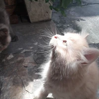 𝐁à 𝐭𝐠 𝐧è