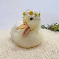 Vịt của Trẫm
