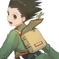 Gon Freecss