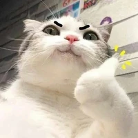 T/G