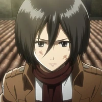 Mikasa