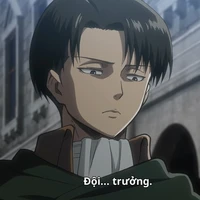 Levi