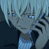 amuro tooru / rei furuya/ bourbon