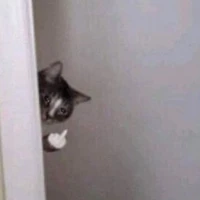 Nhân vật quần chúng