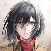 mikasa