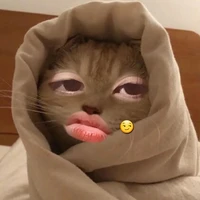tác giả báo đời 🥲