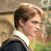 Cedric Diggory