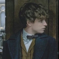 Newt Scamander